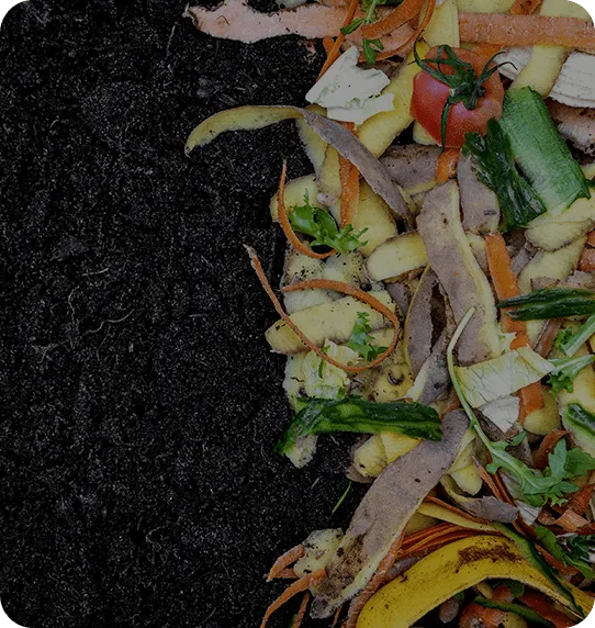 Home Compost Pile Enhancer