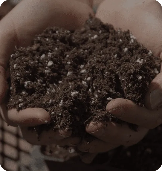 Curbside Compost Program